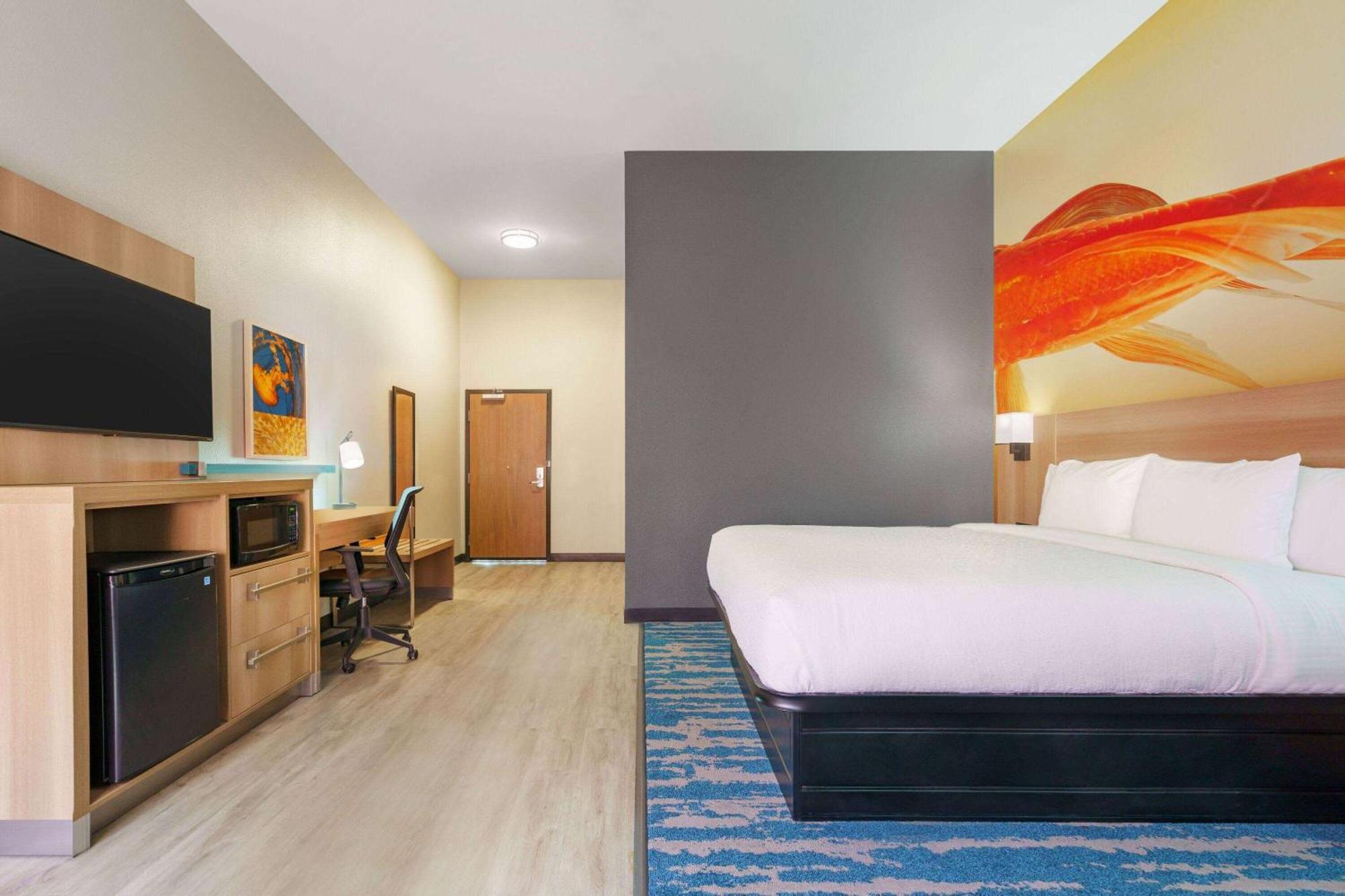 La Quinta Inn & Suites By Wyndham San Antonio Seaworld Lafb מראה חיצוני תמונה